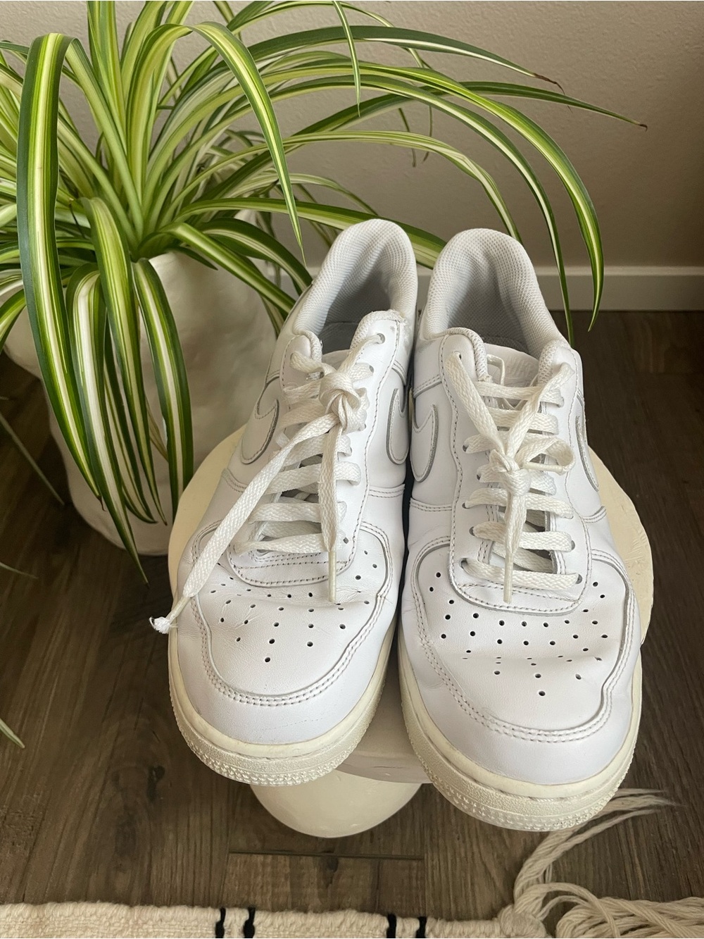 Nike White Low-Top Sneakers